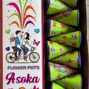 Flower Pots Asoka