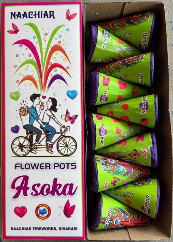 Flower Pots Asoka