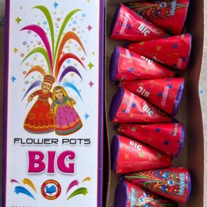 Flower Pots Big
