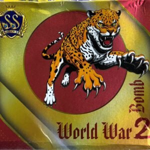 World war / 555 Bomb